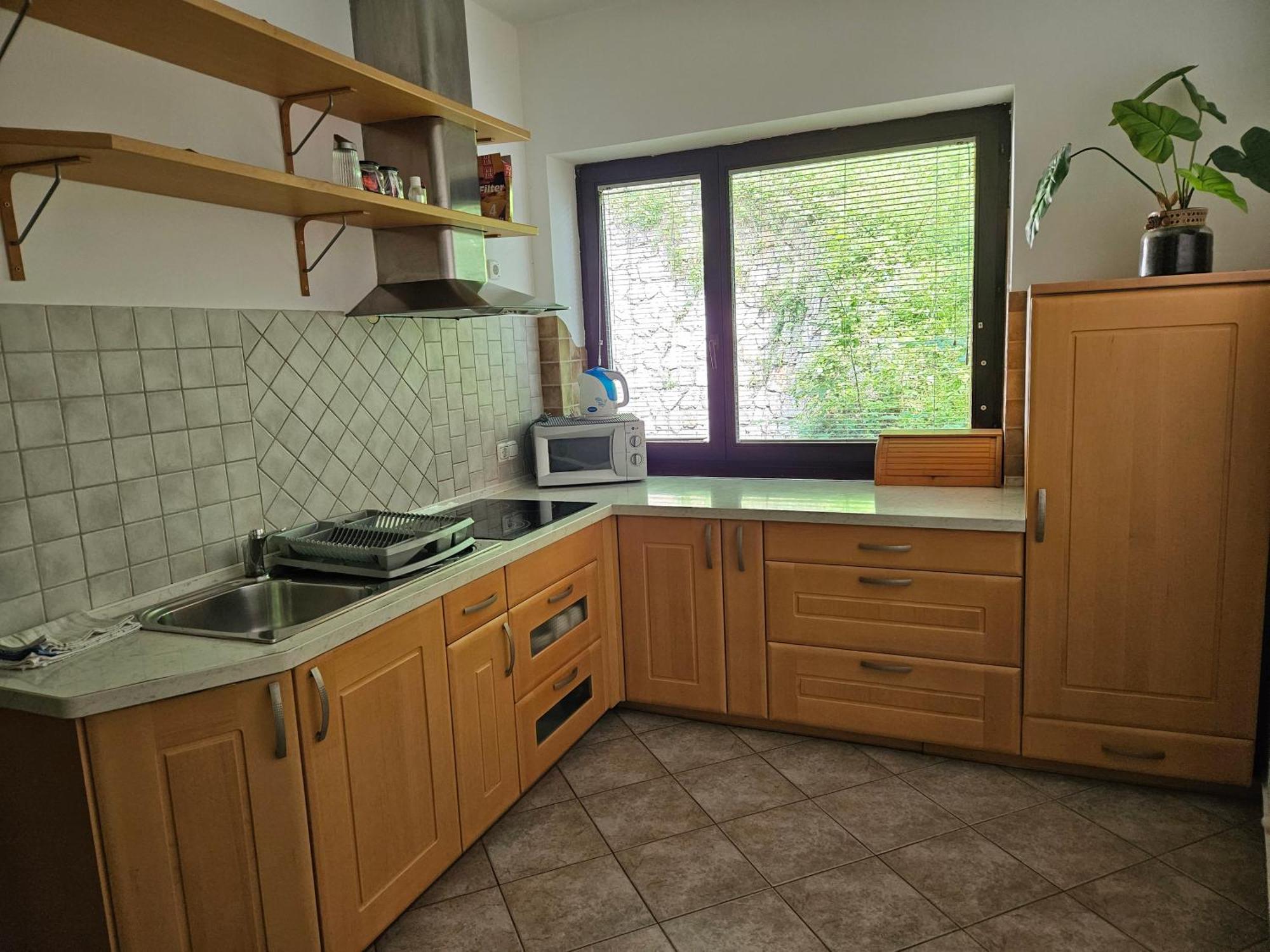ブレッドApartma Panoramaアパートメント 部屋 写真